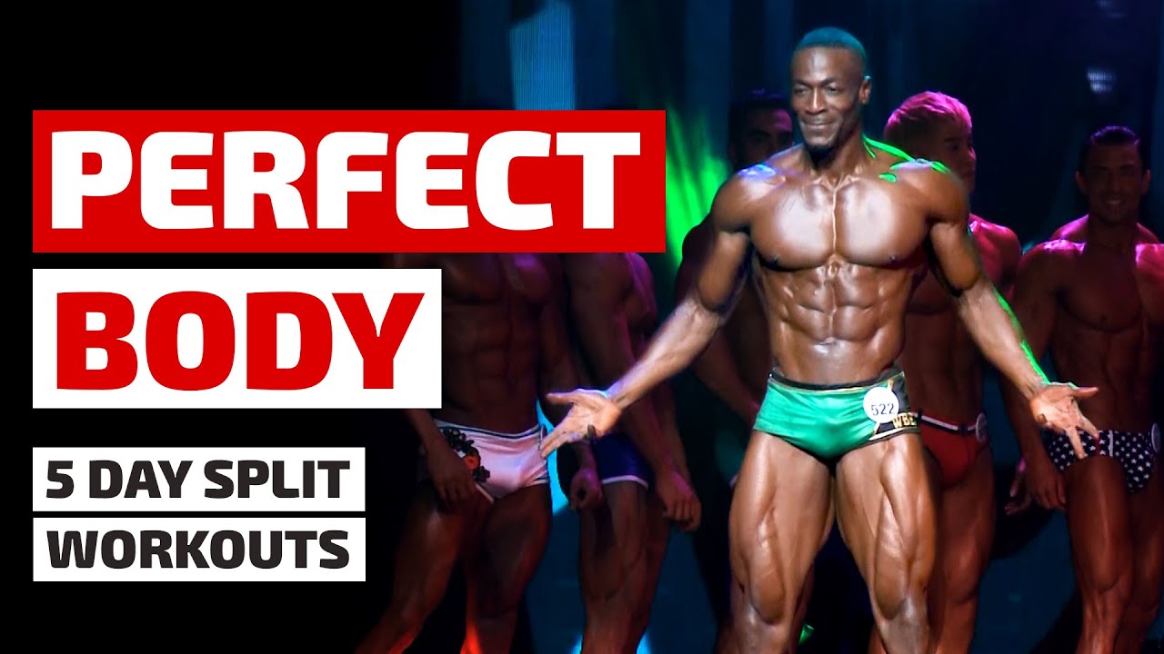 World's Most Perfect Body - 5 Day Workout Split - YL Fitness Plus